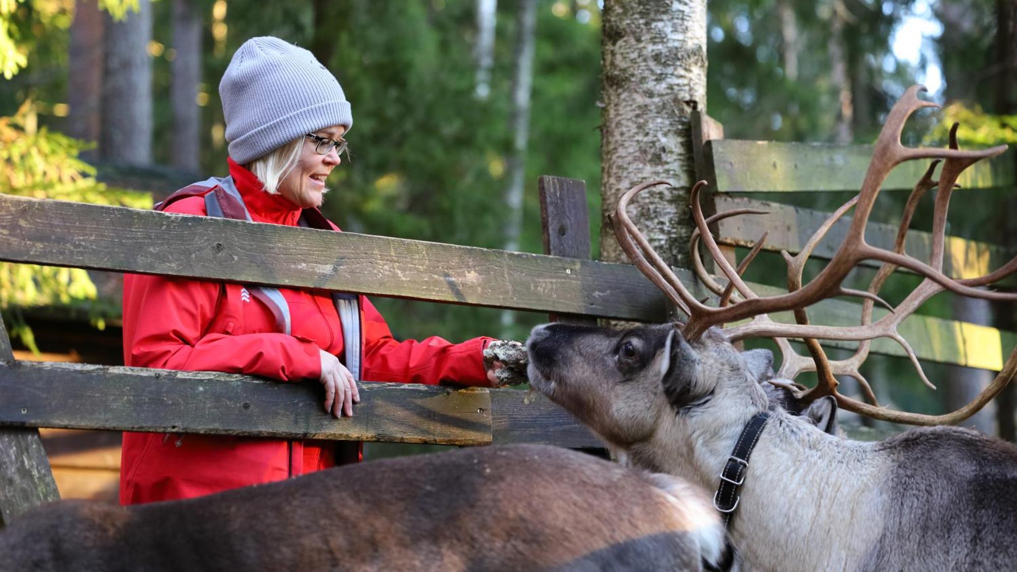 Haltia Lake Lodge Nature Boutique Hotel & Glamping Espoo Zewnętrze zdjęcie