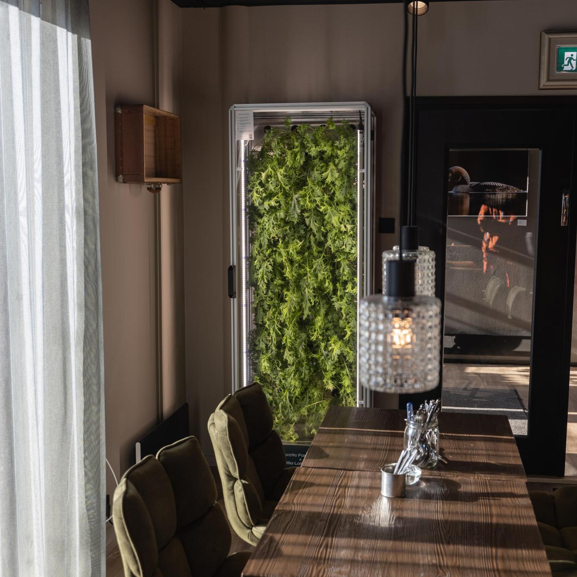 Haltia Lake Lodge Nature Boutique Hotel & Glamping Espoo Zewnętrze zdjęcie